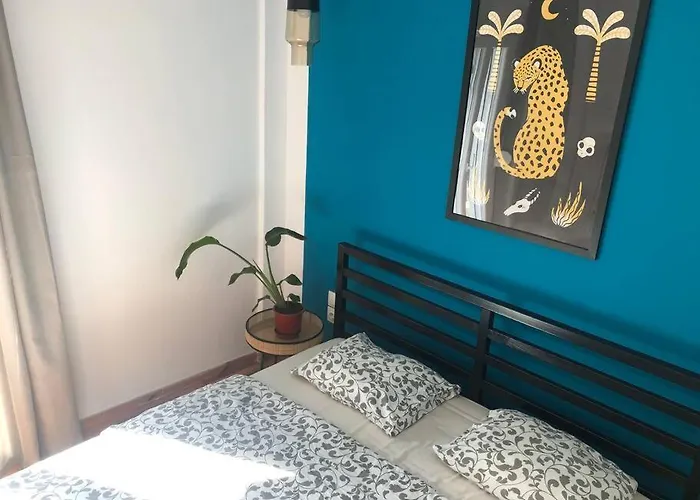 2 Mon-keys * 塞萨洛尼基